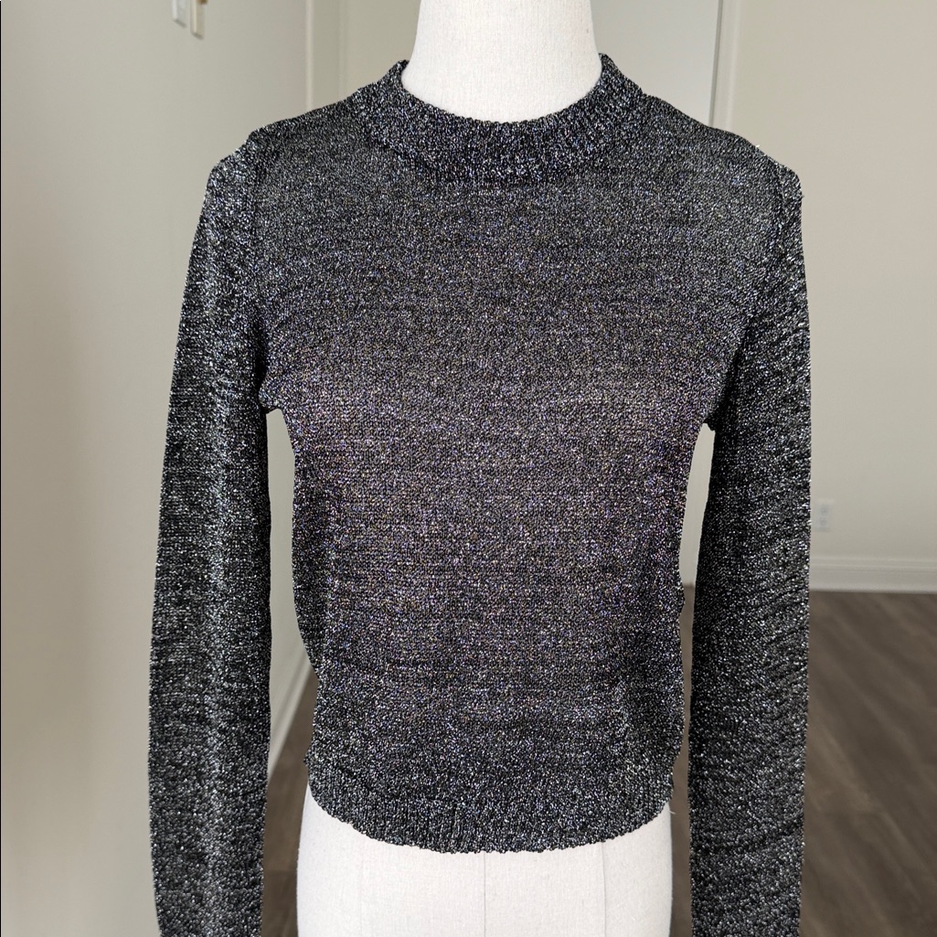 H&M Sheer Metallic Crewneck Sweater